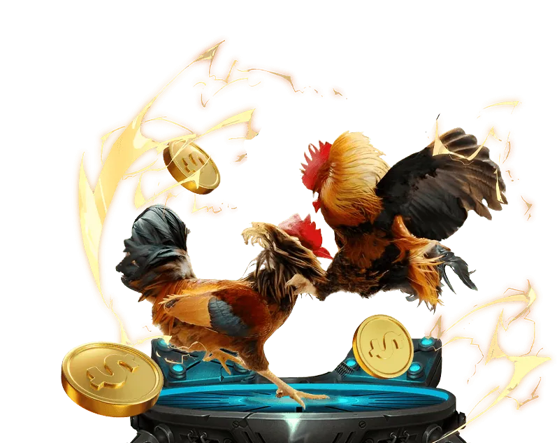 Ưu đãi và khuyến mãi đá gà